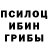 Псилоцибиновые грибы Magic Shrooms Elmira Musulmankulova